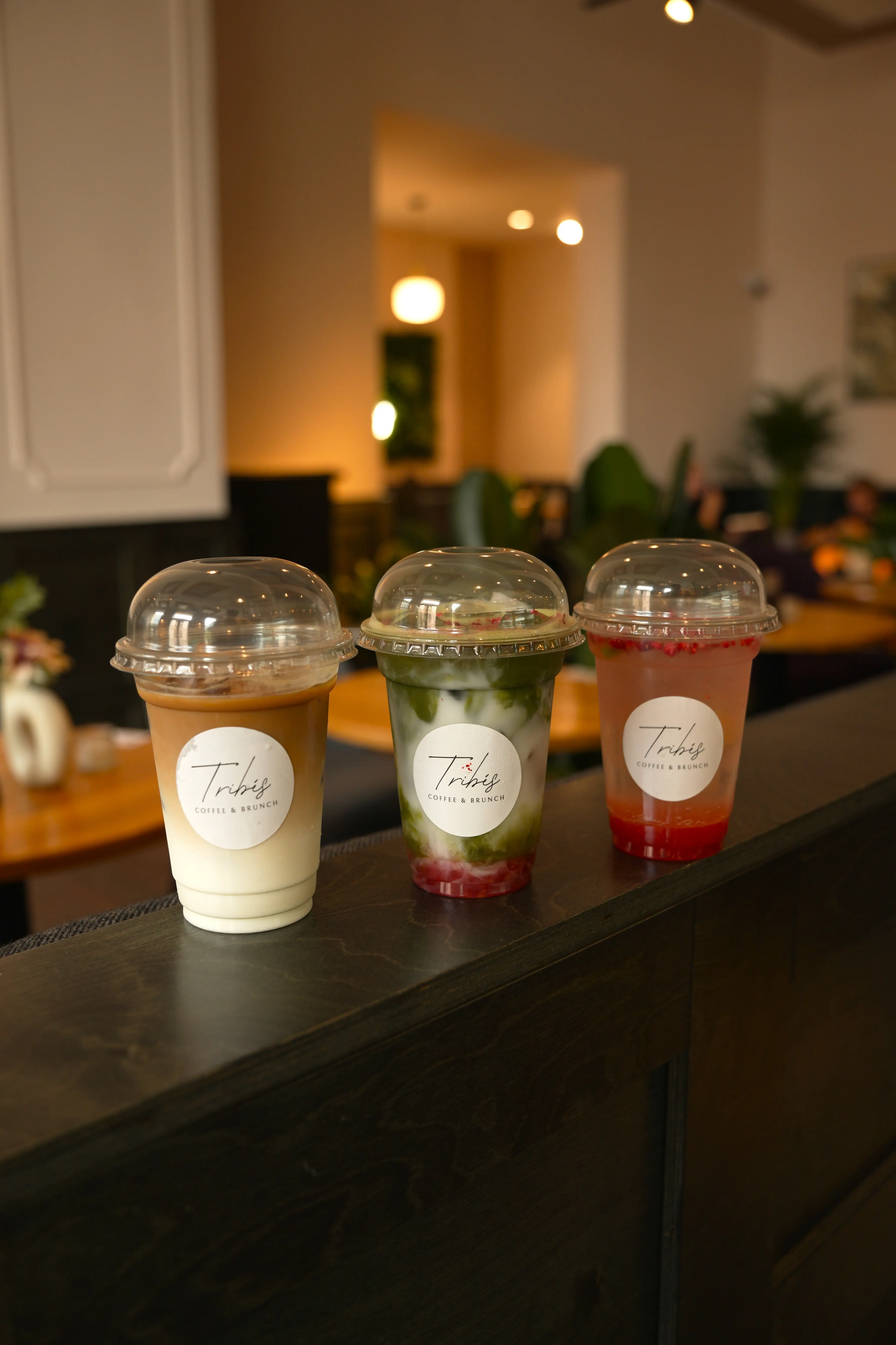 kava-matcha-limonada-kavarna-tribes-olomouc.webp