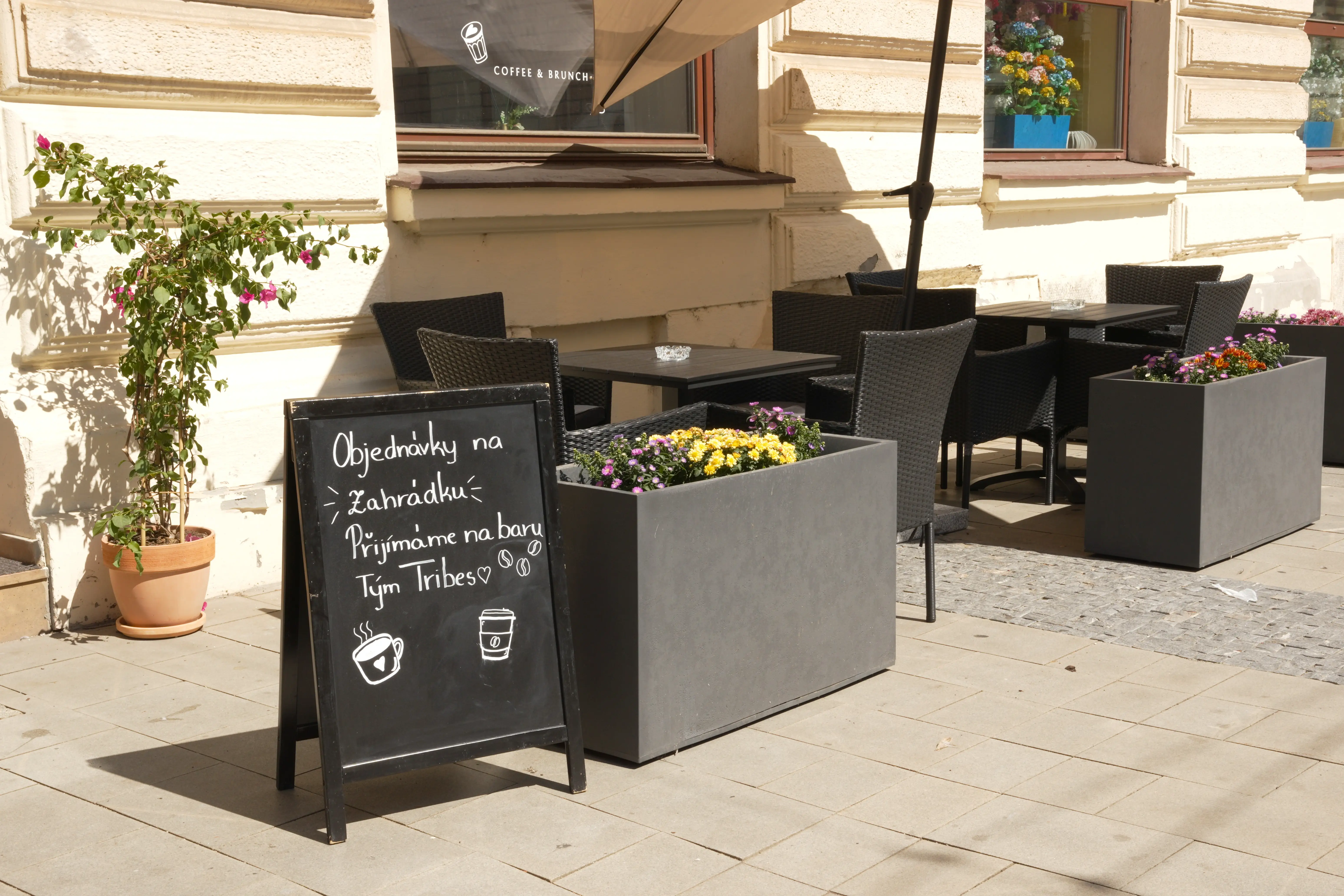 kavarna-tribes-olomouc-brunch-bezlepkove-kava.webp