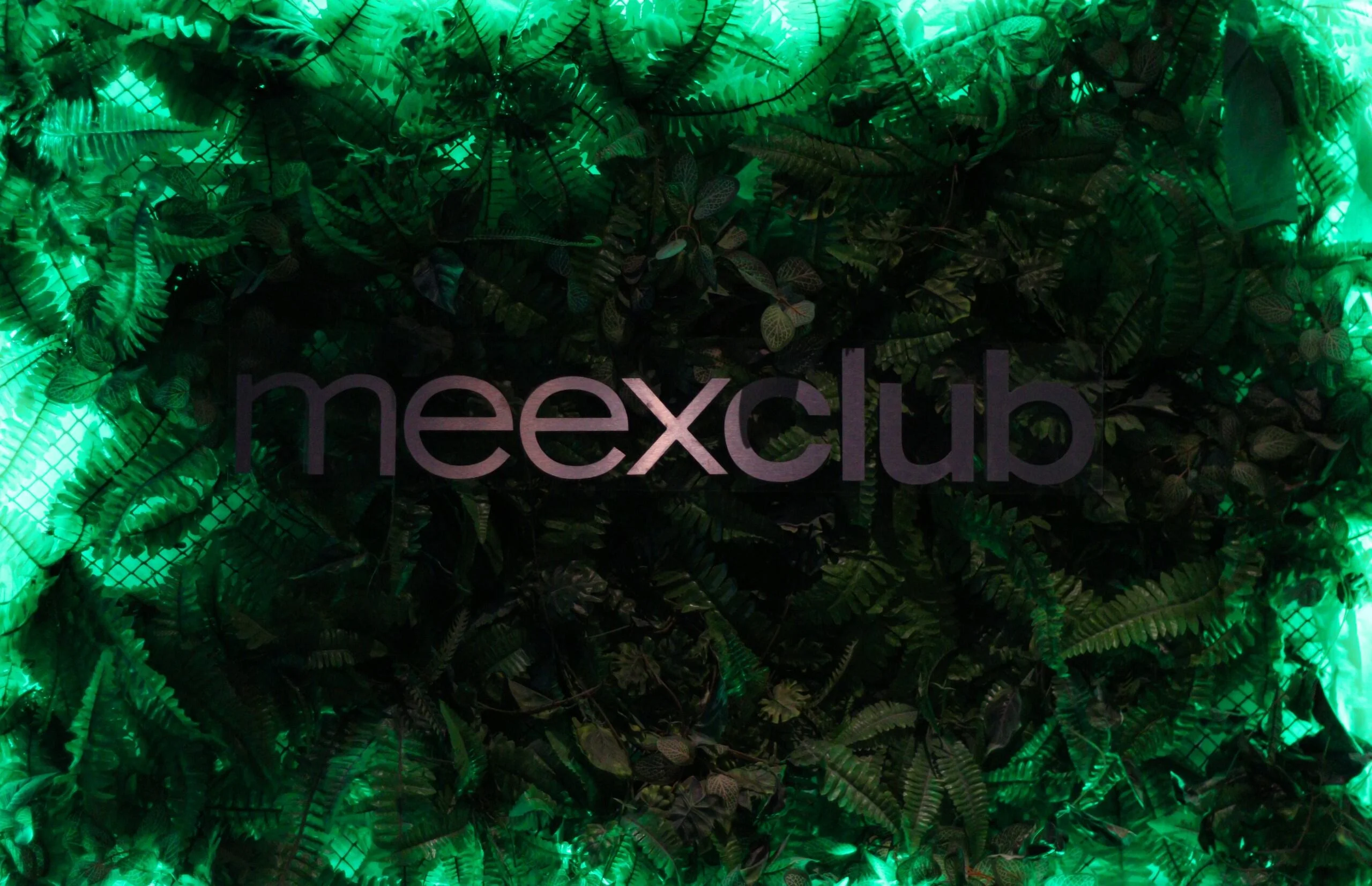 meex-club-kam-zajit-olomouc.webp