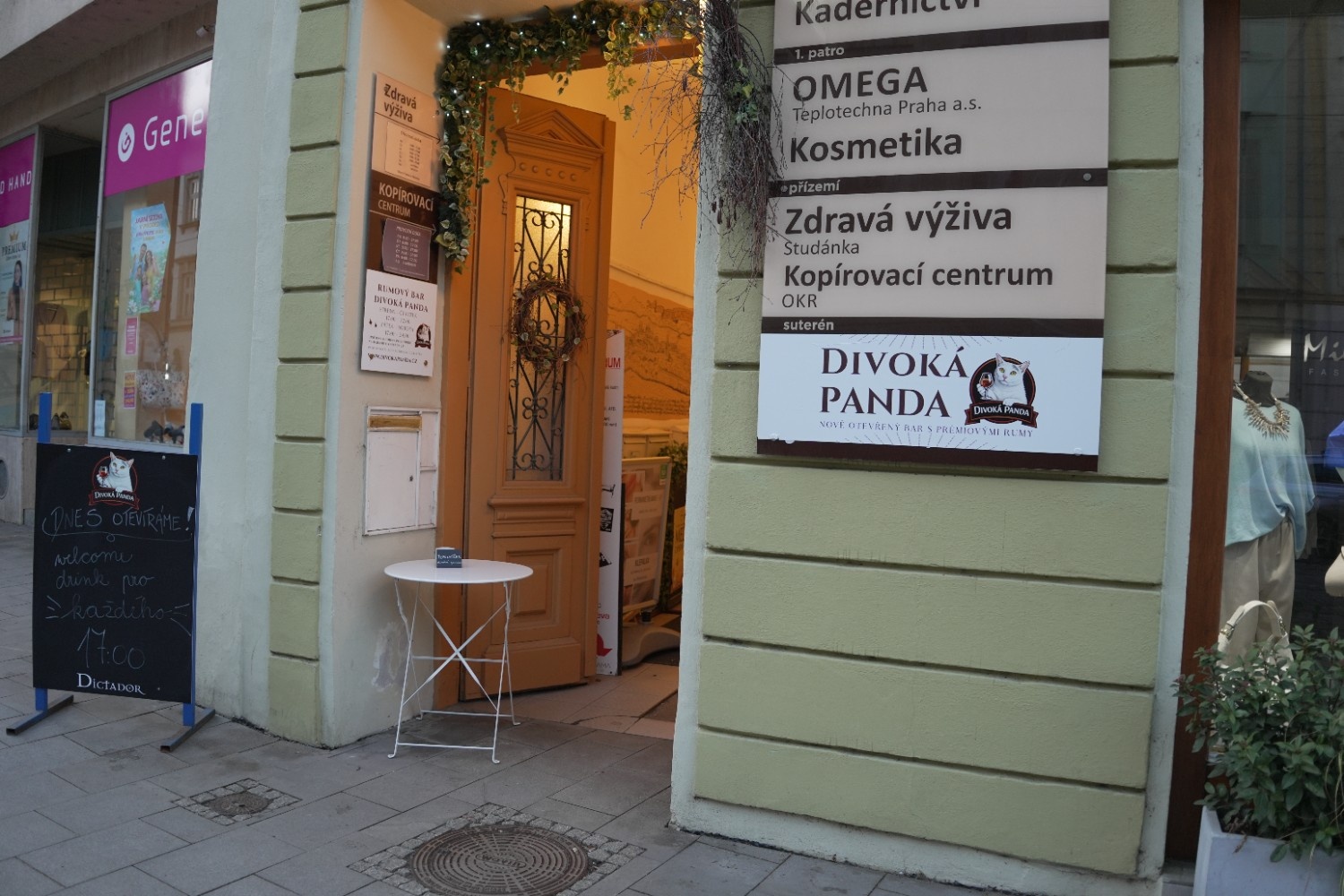 divoka-panda-olomouc.JPG
