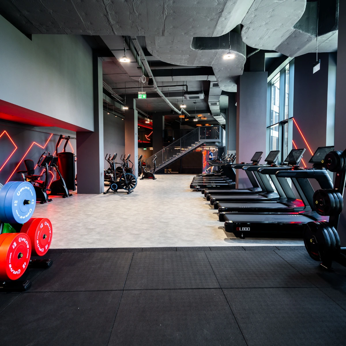 elements-gym-bea-olomouc-2.webp