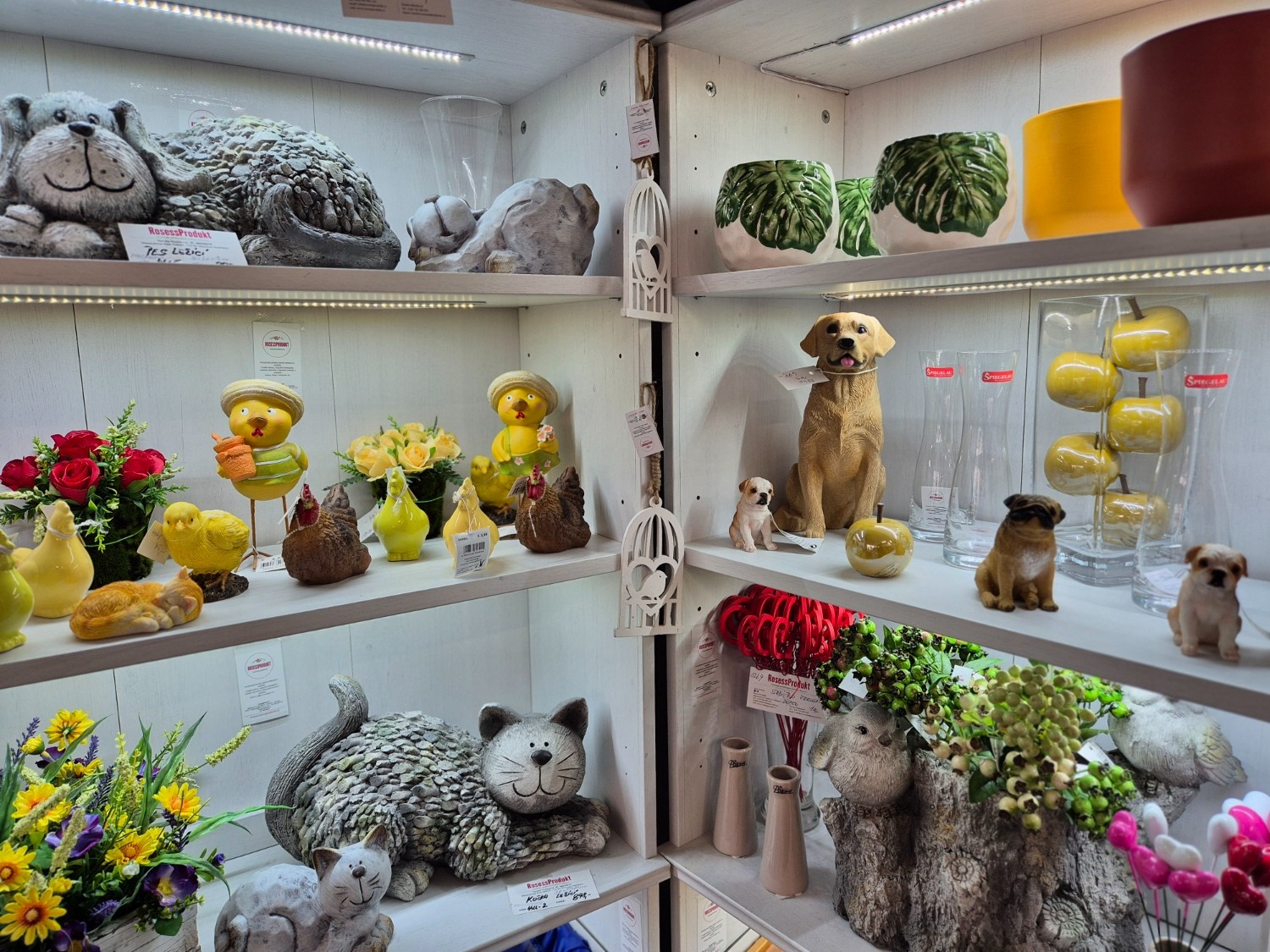 nejlepsi-kvetiny-kvetinovy-butik-olomouc3.jpg