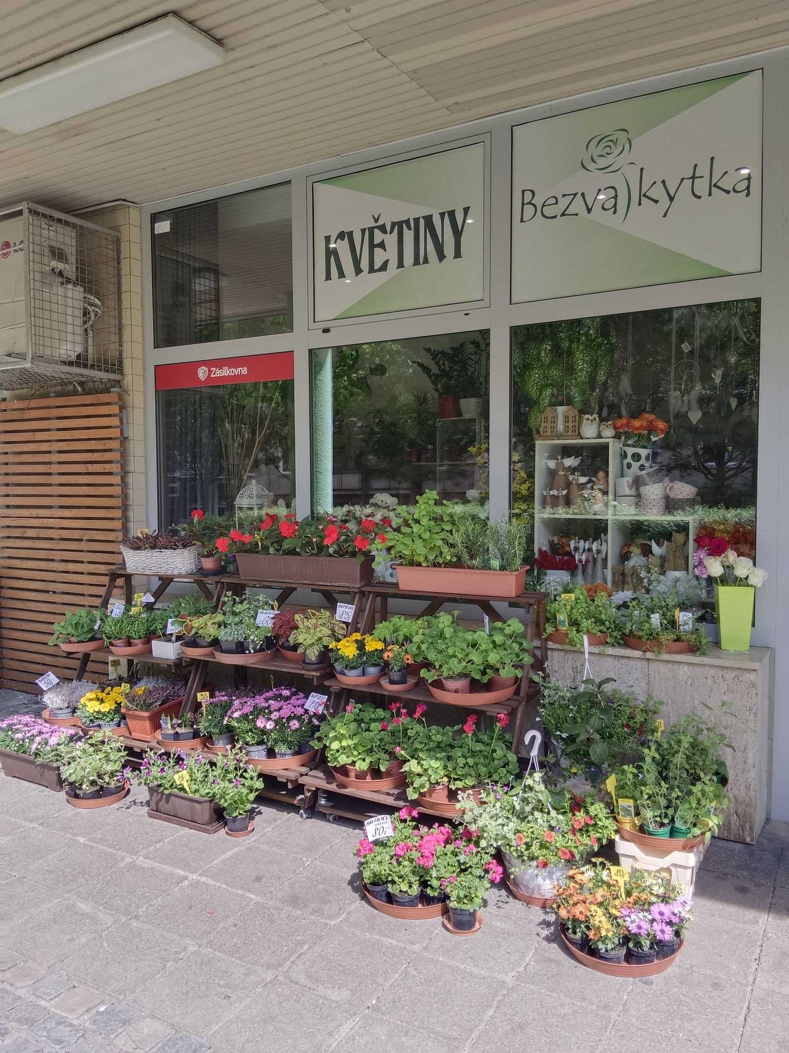 bezva-kytka-kvetinarstvi-olomouc-6.jpg