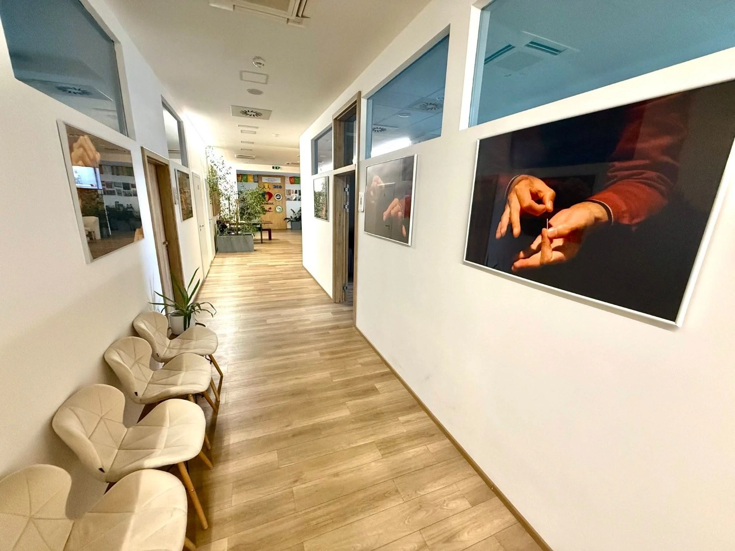 interier_cinskamedicina_olomouc.webp