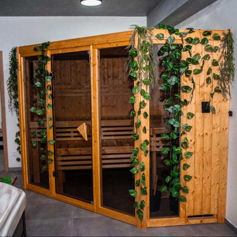 sauna_holandspa.webp